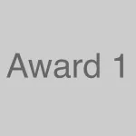 Top Company Award